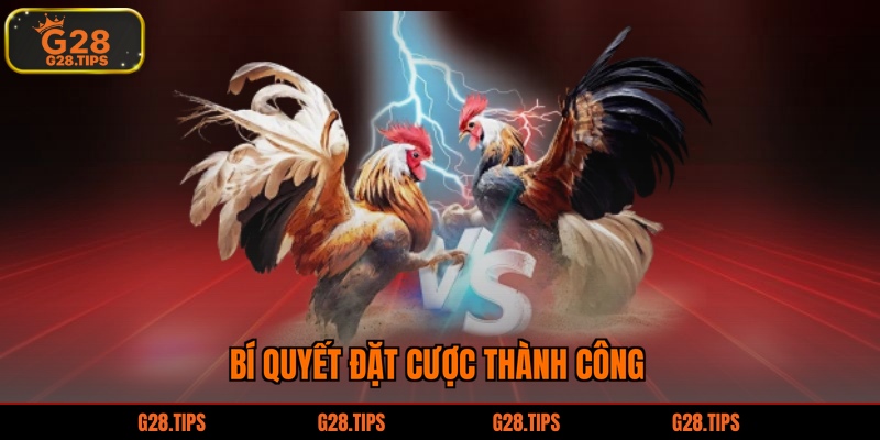 Bí quyết đặt cược thành công