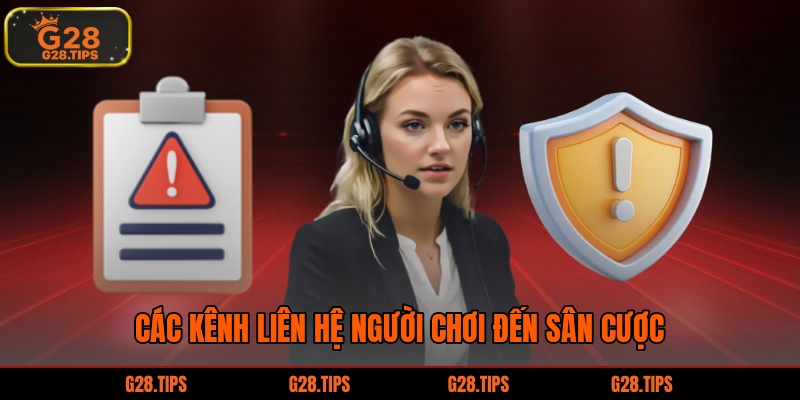 Các kênh liên hệ người chơi đến sân cược