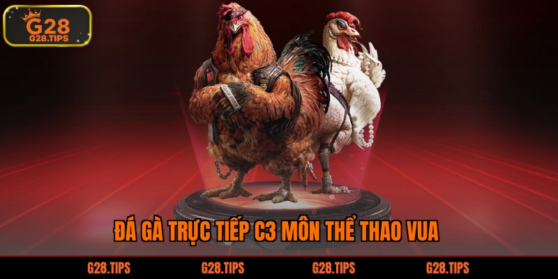 Đá gà trực tiếp c3 môn thể thao vua