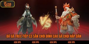 Đá gà trực tiếp c3