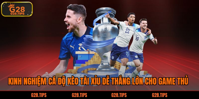 Kinh nghiệm cá độ kèo tài xỉu dễ thắng lớn cho game thủ