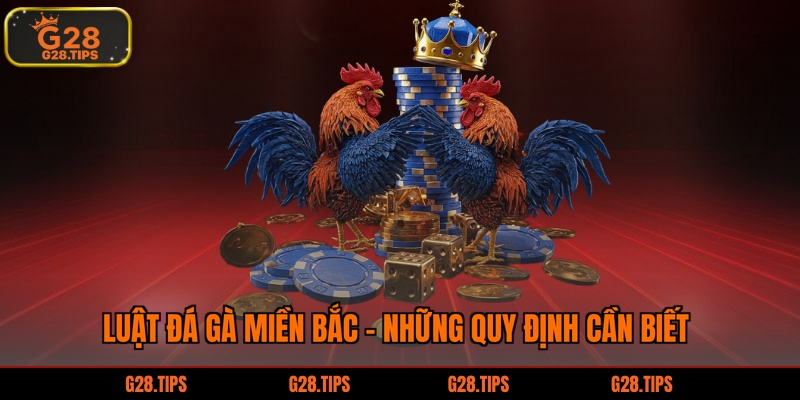 Luật đá gà miền Bắc - Những quy định cần biết