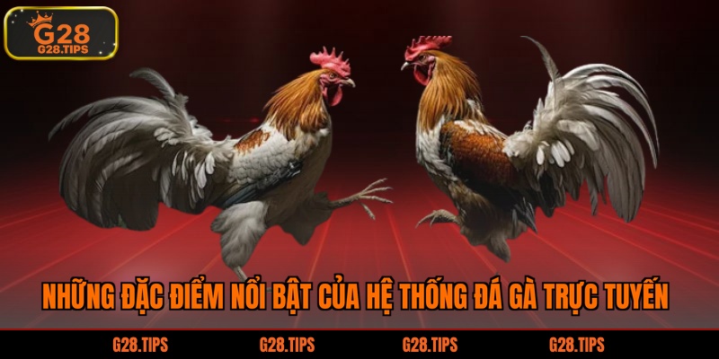 Những đặc điểm nổi bật của hệ thống đá gà trực tuyến 