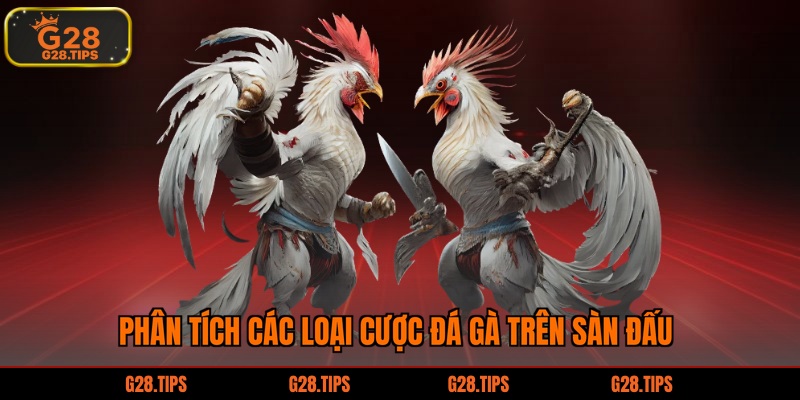 Phân tích các loại cược đá gà trên sàn đấu