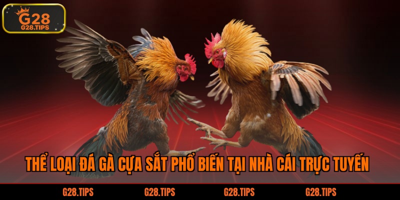 Thể loại đá gà cựa sắt phổ biến tại nhà cái trực tuyến