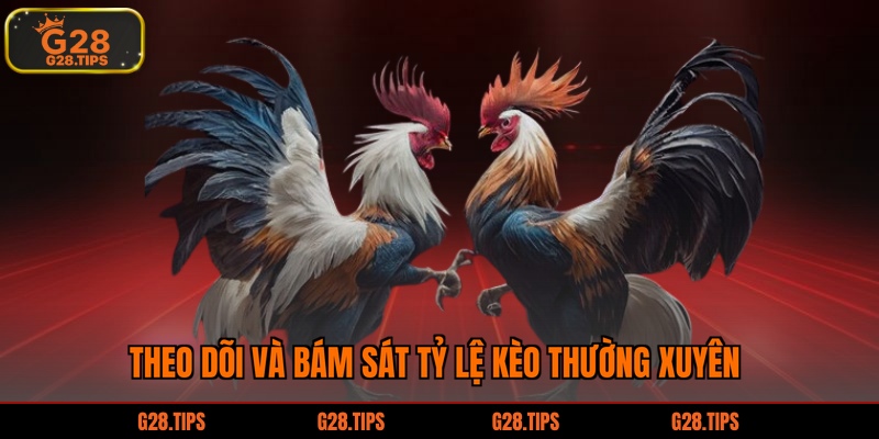 Theo dõi và bám sát tỷ lệ kèo thường xuyên